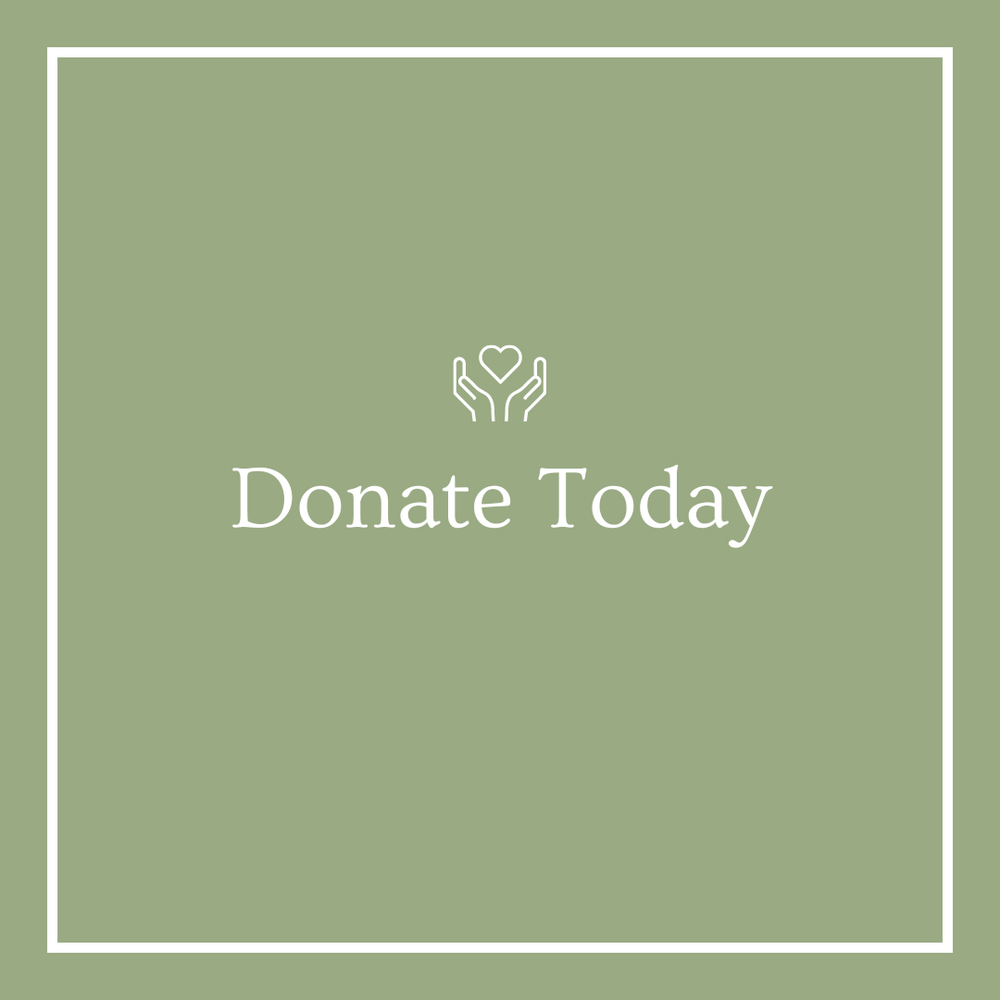 Join us in making a difference today! Your donation can change lives and support our mission. Click here to donate now and be a part of something meaningful!