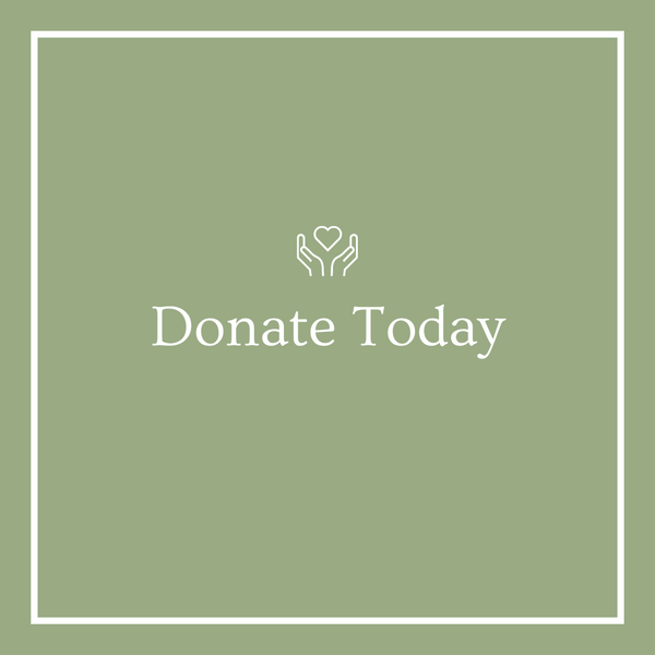 Join us in making a difference today! Your donation can change lives and support our mission. Click here to donate now and be a part of something meaningful!